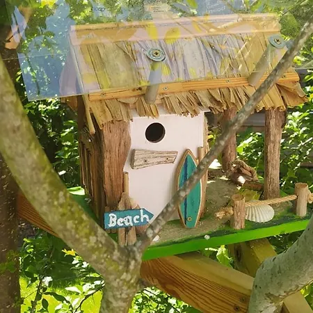 & Birds *
