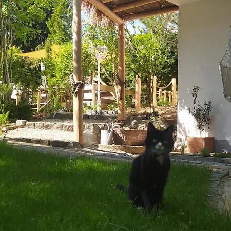 Apartman & Birds Hohenfels (Baden-Wurttemberg)