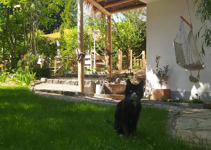 Apartman & Birds Hohenfels (Baden-Wurttemberg)